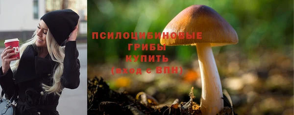 а пвп мука Белокуриха