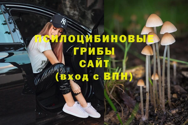 каннабис Беломорск